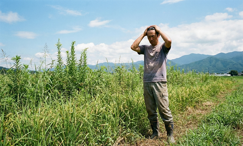 農作業ができない田んぼは売却すべき？売れないリスクや2つの売却方法、税金を完全解説